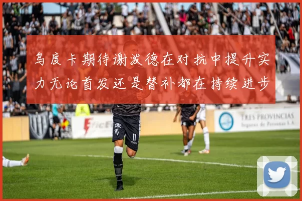 乌度卡期待谢泼德在对抗中提升实力无论首发还是替补都在持续进步