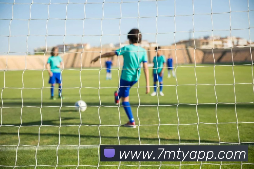 多媒体互动体验